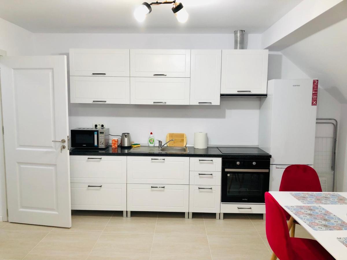 New And Modern Apartments In Villa, Near City Center M36 Temešvár Exteriér fotografie