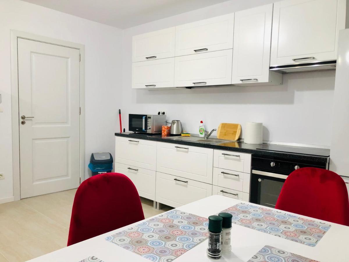 New And Modern Apartments In Villa, Near City Center M36 Temešvár Exteriér fotografie