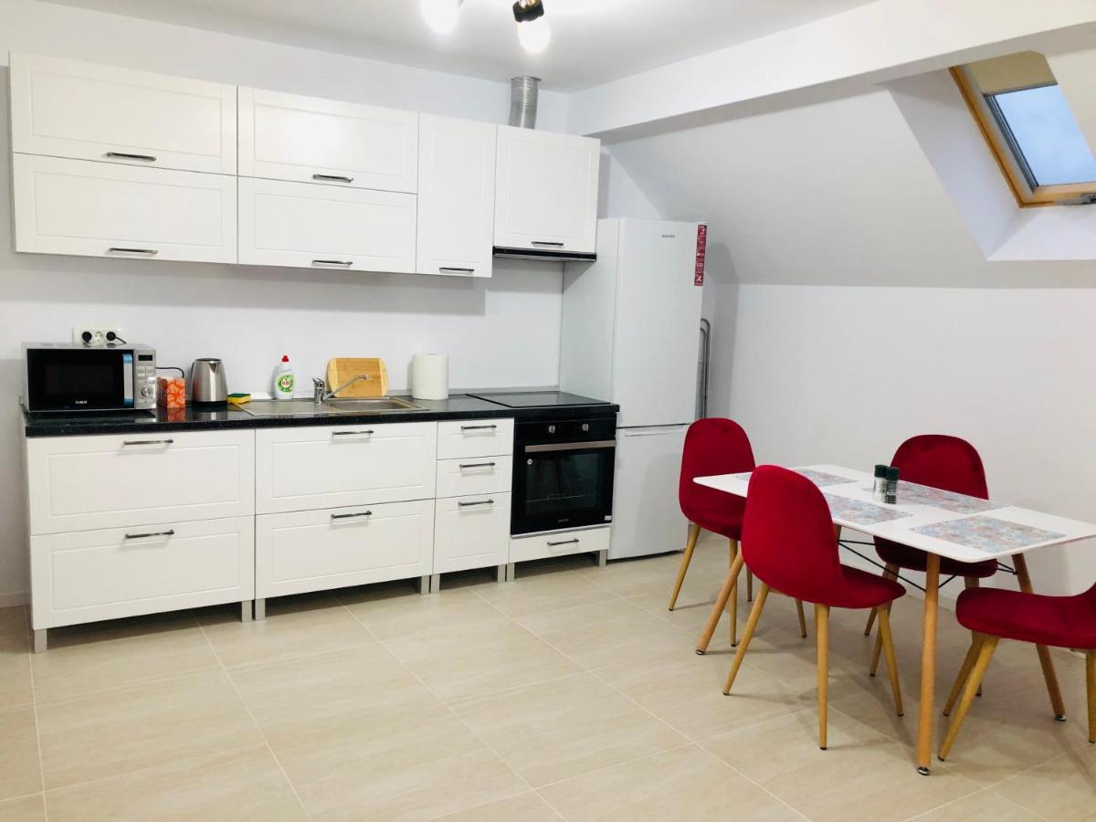 New And Modern Apartments In Villa, Near City Center M36 Temešvár Exteriér fotografie