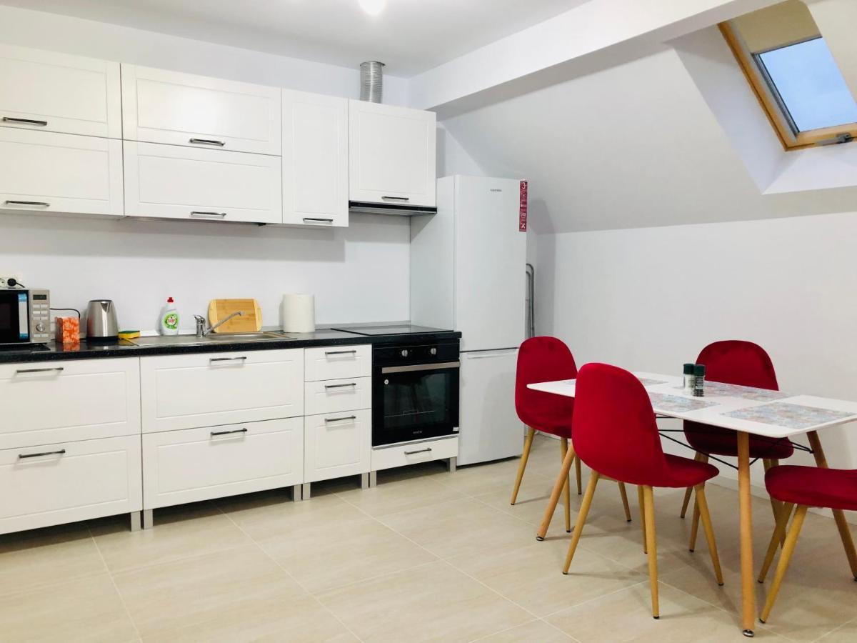 New And Modern Apartments In Villa, Near City Center M36 Temešvár Exteriér fotografie