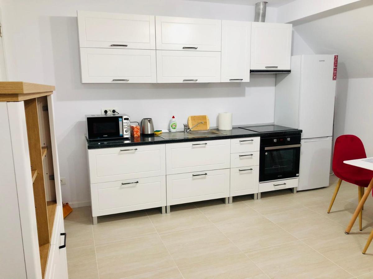 New And Modern Apartments In Villa, Near City Center M36 Temešvár Exteriér fotografie