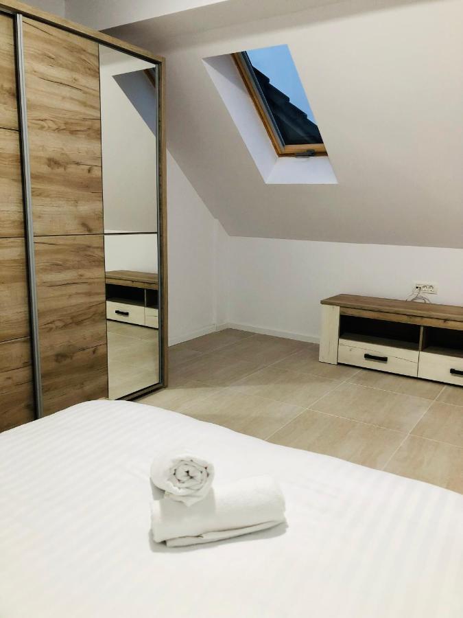 New And Modern Apartments In Villa, Near City Center M36 Temešvár Exteriér fotografie