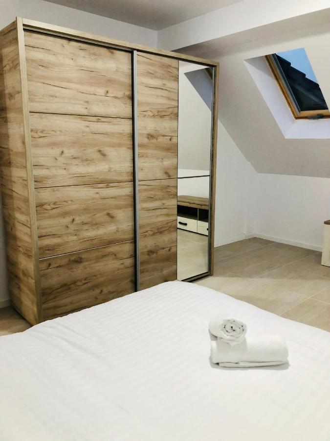 New And Modern Apartments In Villa, Near City Center M36 Temešvár Exteriér fotografie