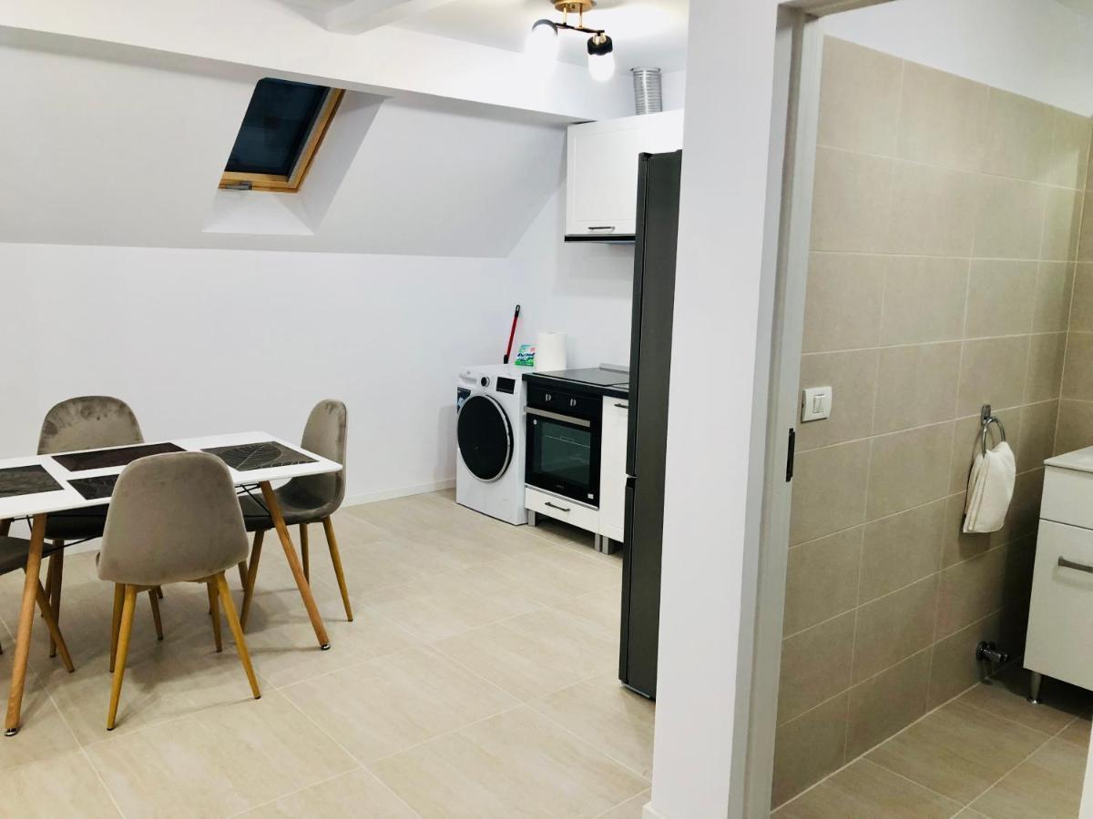 New And Modern Apartments In Villa, Near City Center M36 Temešvár Exteriér fotografie