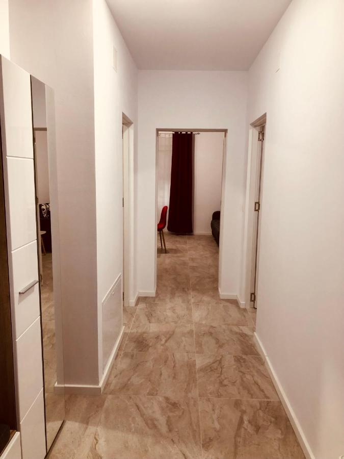 New And Modern Apartments In Villa, Near City Center M36 Temešvár Exteriér fotografie