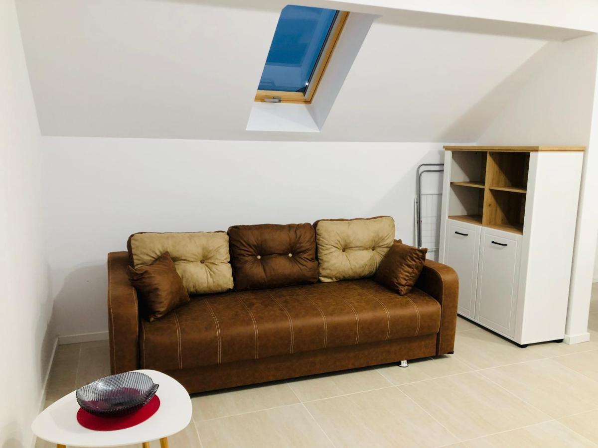 New And Modern Apartments In Villa, Near City Center M36 Temešvár Exteriér fotografie