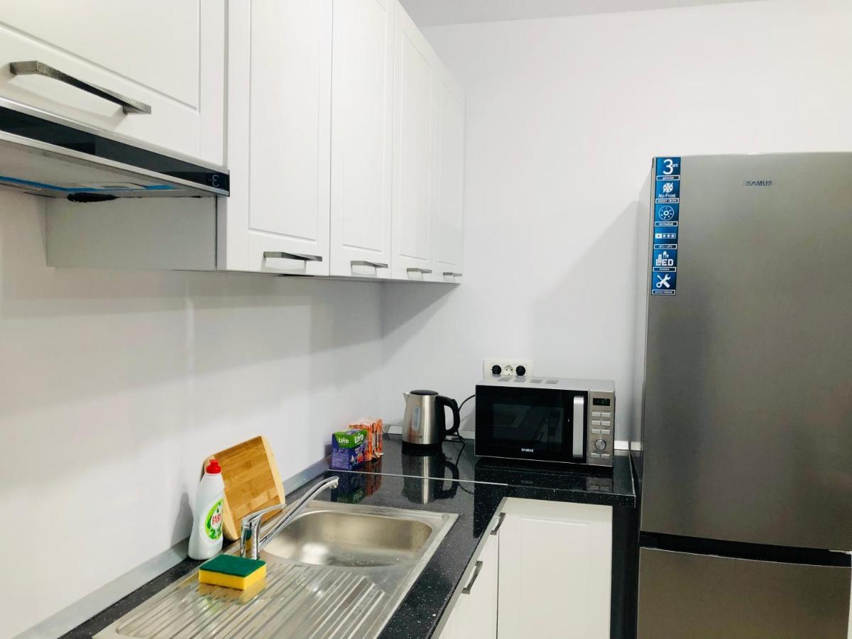 New And Modern Apartments In Villa, Near City Center M36 Temešvár Exteriér fotografie